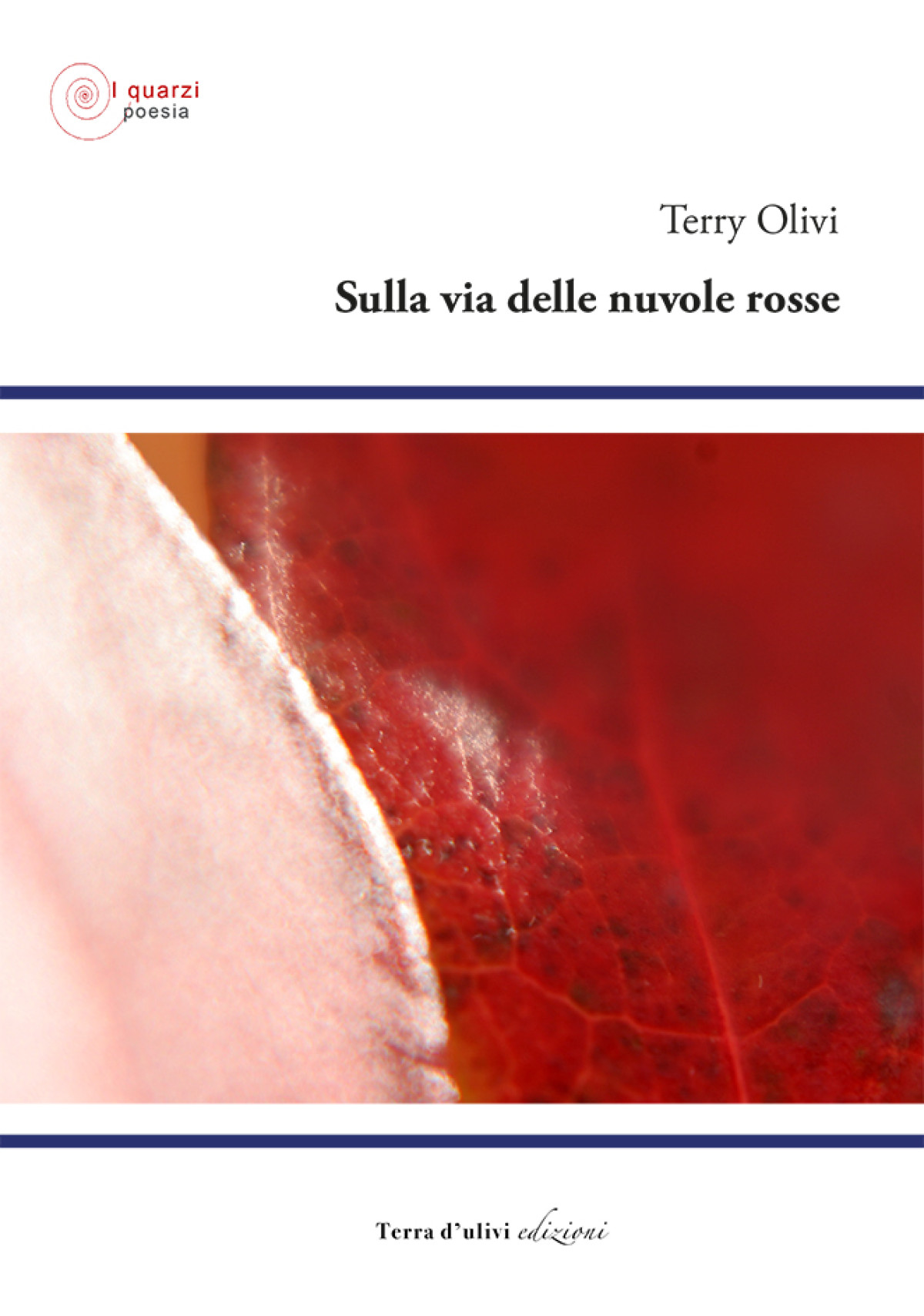 Sulla via delle nuvole rosse, di Terry Olivi